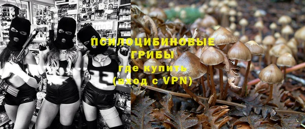 марки nbome Пересвет