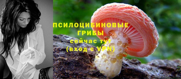 стафф Переславль-Залесский