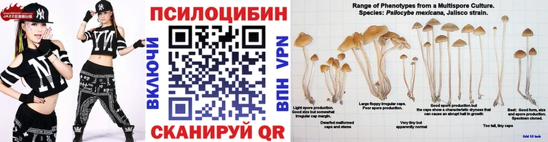 Псилоцибиновые грибы Psilocybe Белогорск