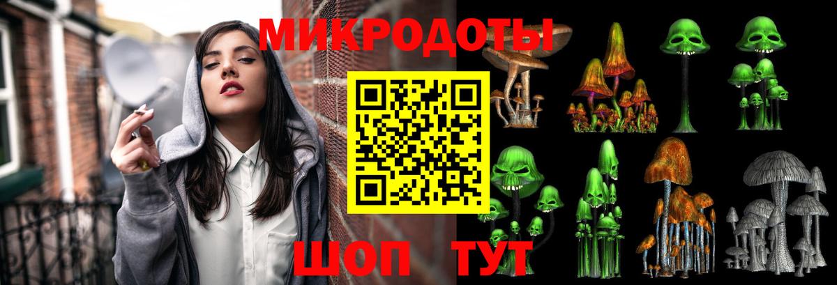 Галлюциногенные грибы Psilocybine cubensis Белогорск