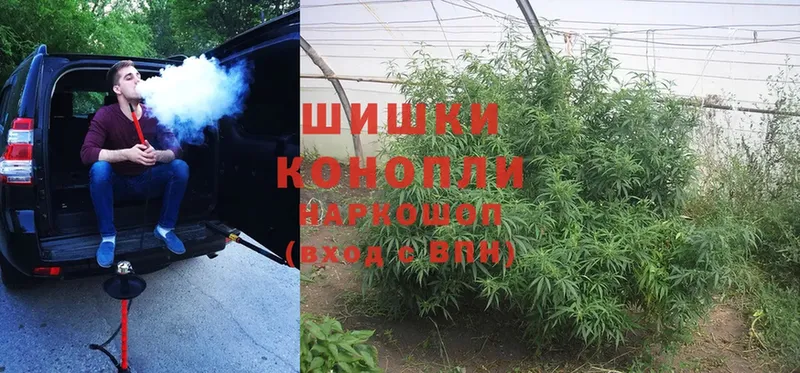 Каннабис план  Белогорск 