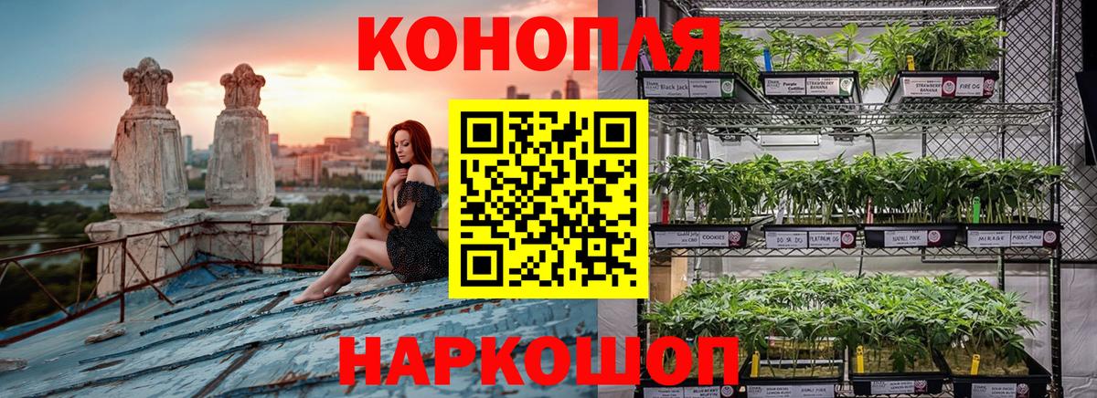 Бошки марихуана гибрид  Марихуана индика  Вход с VPN  МАРИХУАНА план  Белогорск  Каннабис индика 